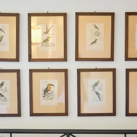 Appartement Il Nespolo Di Campopisano *