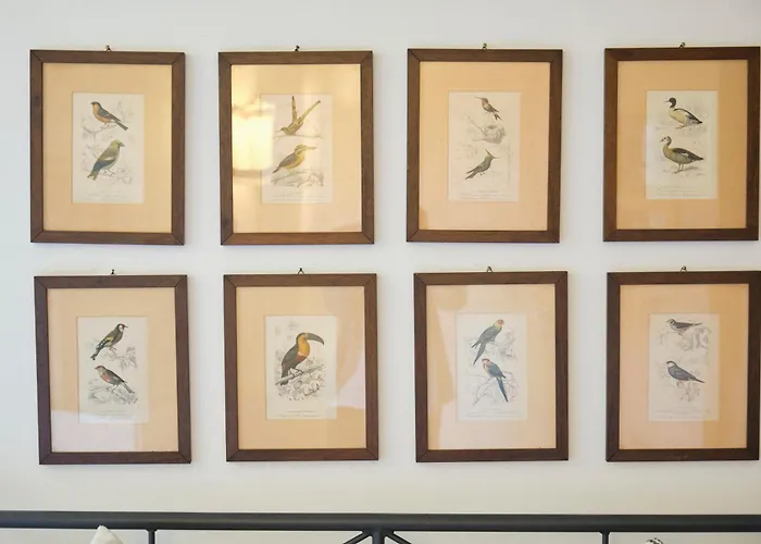 Daire Il Nespolo Di Campopisano *